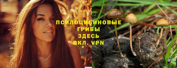 mix Корсаков
